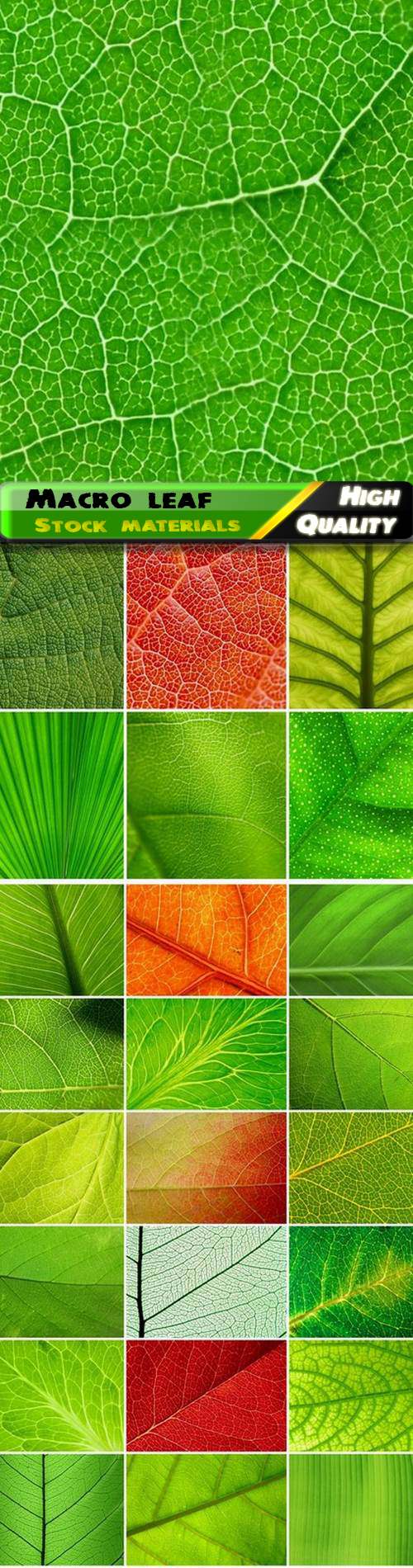 Macro leaf and leaves texture and green eco background - 25 HQ Jpg