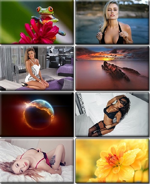 LIFEstyle News MiXture Images. Wallpapers Part (1076)