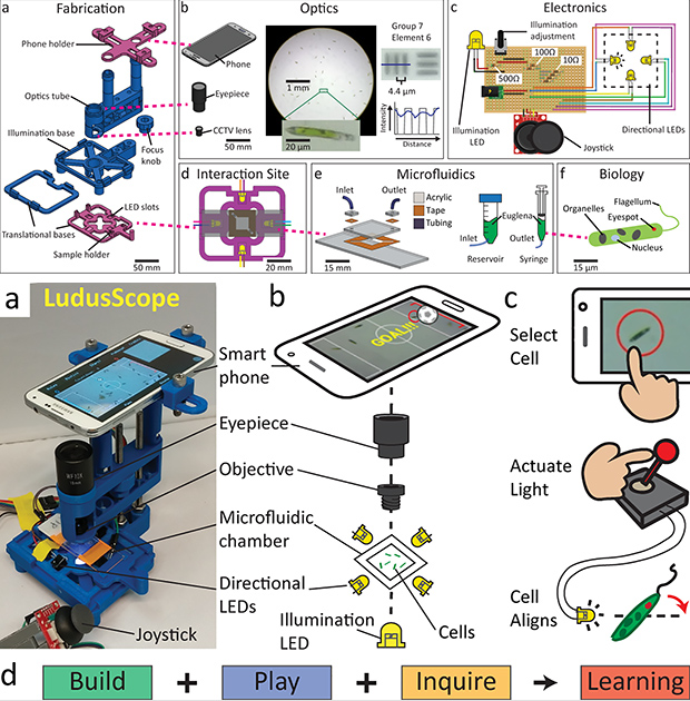 Американские учёные создали «игровую консоль» с микробами