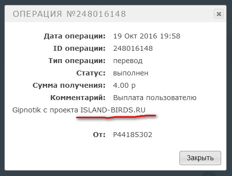 Island-Birds.ru -   