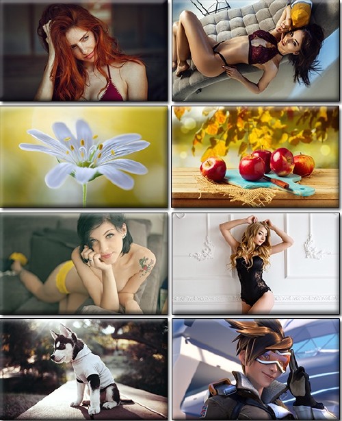 LIFEstyle News MiXture Images. Wallpapers Part (1096)