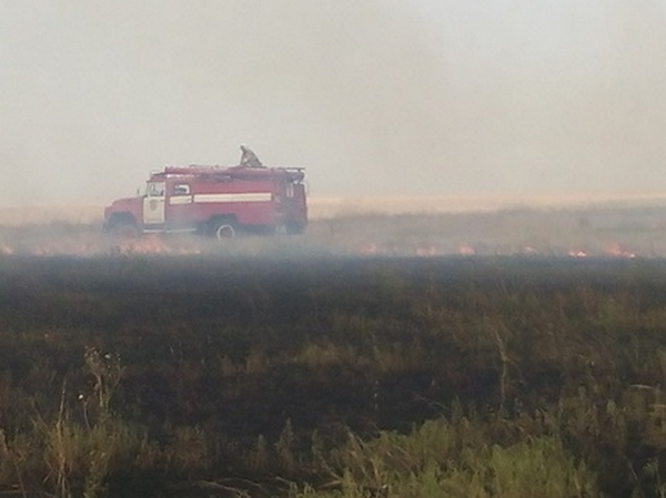 В Крыму за сутки сгорели семь с половиной гектаров полей [фото]