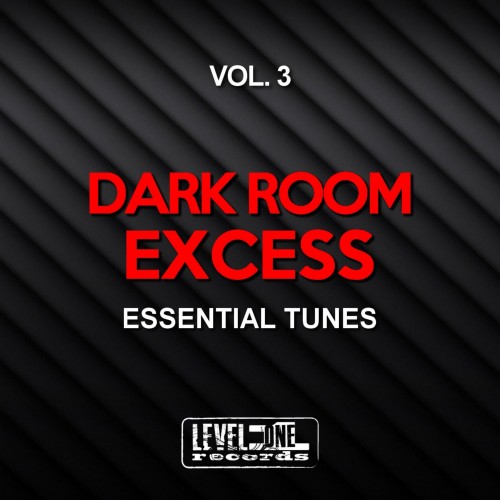 Dark Room Excess, Vol. 3 (Essential Tunes) (2016)
