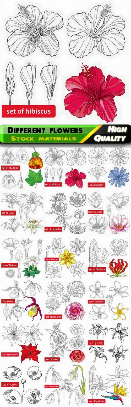 Hand drawn flowers of different kinds - 18 Eps
