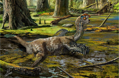 Останки нового вида динозавров обнаружили в Китае