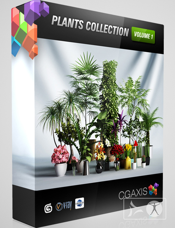 CGAxis Models Volume 1 PLANTS for Poser