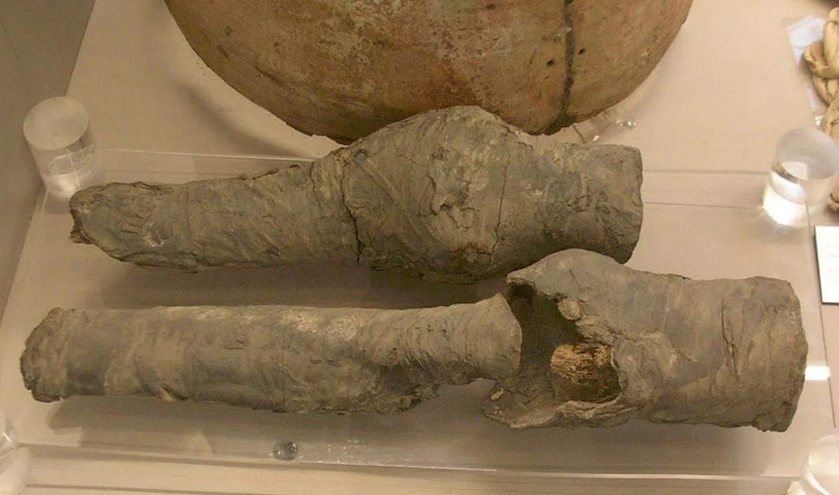 Найденные в Египте останки мумии оказались коленями царицы: фото