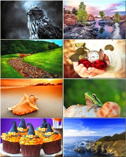 Best mixed wallpapers pack #210