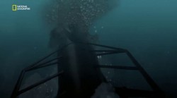  :   / Fatal Voyage / WW2: Hell under the Sea (2016) SATRip