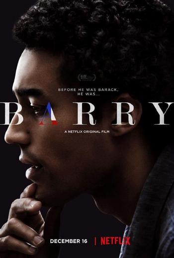 Barry (2016) WEBRip XviD MP3-FGT 170108