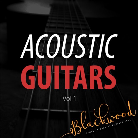 BLACKWOOD Samples Acoustic Guitars WAV