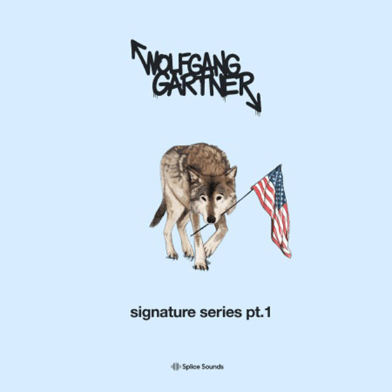 Splice Sounds Wolfgang Gartner Signature Series Pt 1 WAV