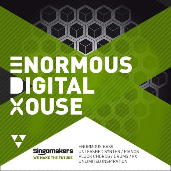 Singomakers Enormous Digital House MULTiFORMAT