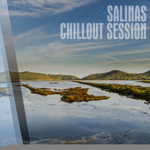 VA - Salinas Chillout Session (2016)